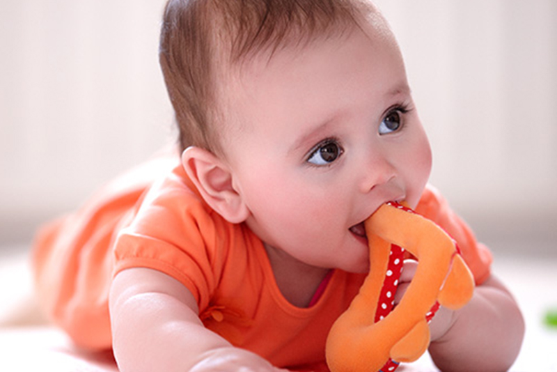 Baby Development Teething